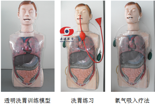 多功能透明洗胃训练模型