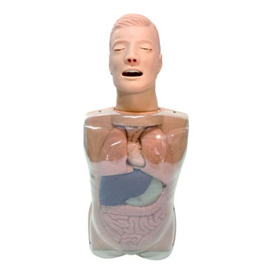 鼻泪管通液训练模型