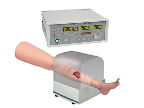 交互式止血训练腿模型