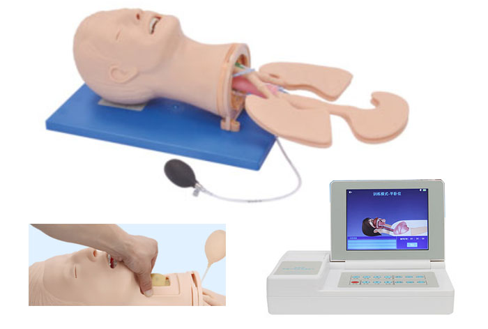 高级气道管理模拟人